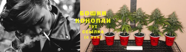 apvp Вязьма