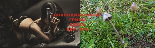 apvp Вязьма