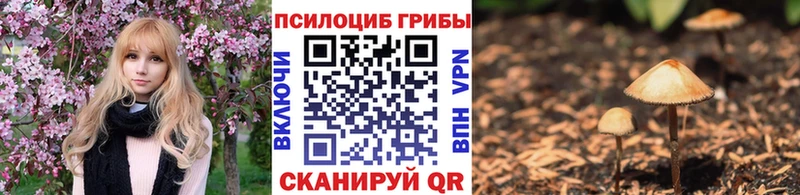 Галлюциногенные грибы Cubensis  как найти закладки  Миасс 